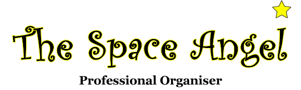 The Space Angel